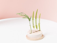 For the Makers Little Vases